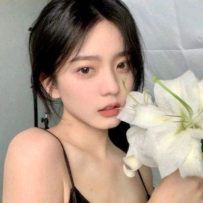 武动八荒破解版下载